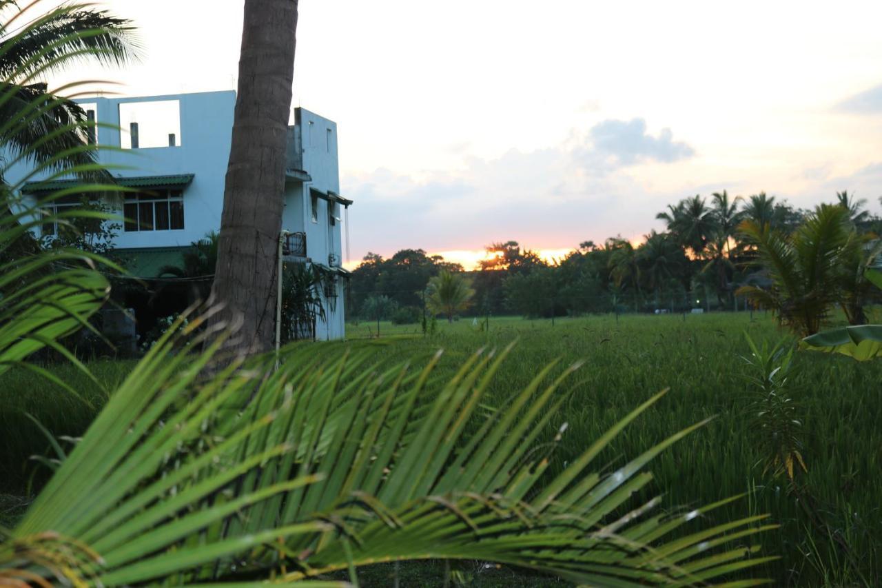 Manel Guest House Polonnaruwa Exterior foto